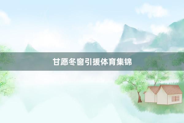 甘愿冬窗引援体育集锦