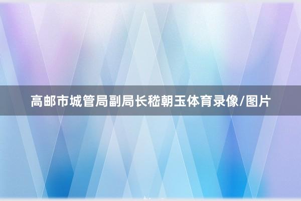 高邮市城管局副局长嵇朝玉体育录像/图片
