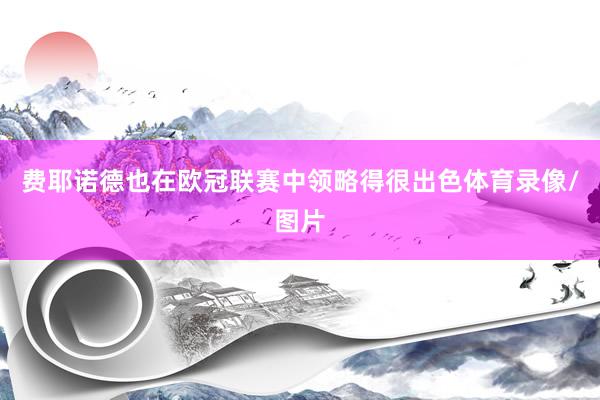 费耶诺德也在欧冠联赛中领略得很出色体育录像/图片