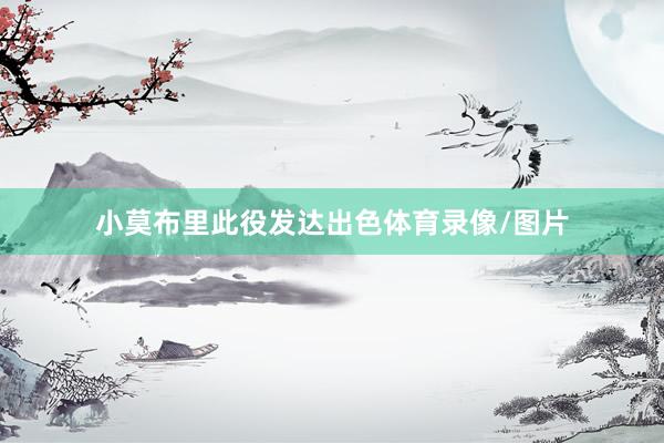 小莫布里此役发达出色体育录像/图片