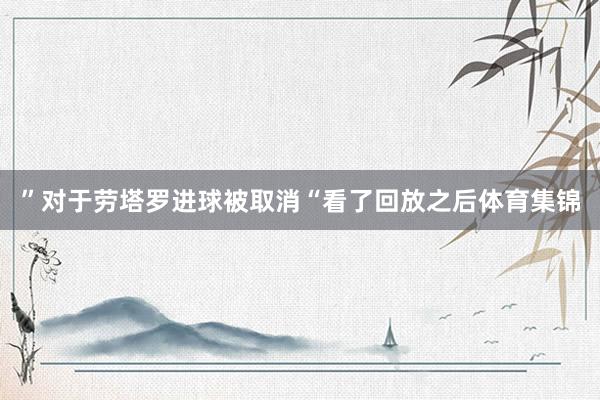 ”对于劳塔罗进球被取消“看了回放之后体育集锦