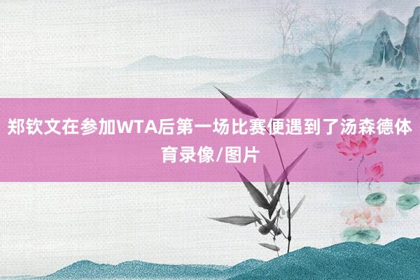 郑钦文在参加WTA后第一场比赛便遇到了汤森德体育录像/图片