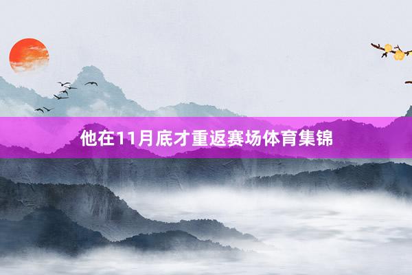他在11月底才重返赛场体育集锦