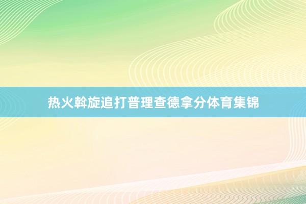 热火斡旋追打普理查德拿分体育集锦