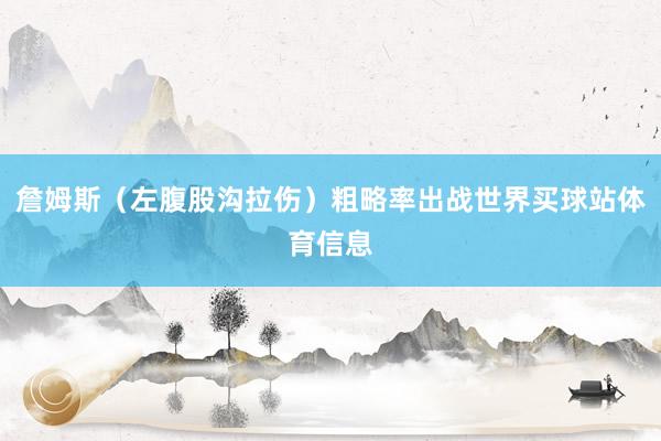 詹姆斯（左腹股沟拉伤）粗略率出战世界买球站体育信息