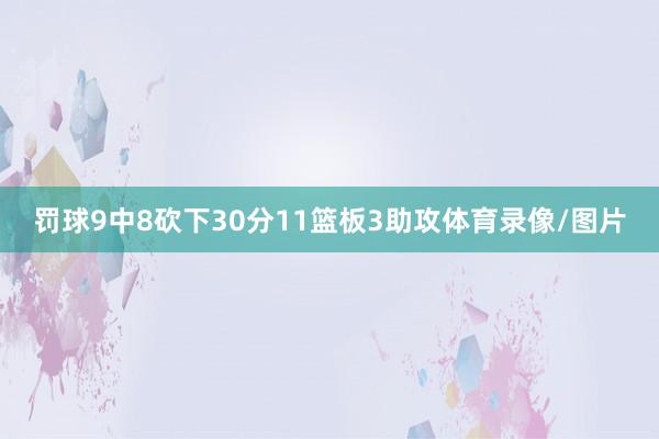 罚球9中8砍下30分11篮板3助攻体育录像/图片