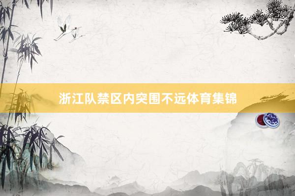 浙江队禁区内突围不远体育集锦