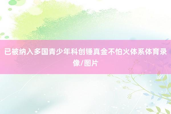 已被纳入多国青少年科创锤真金不怕火体系体育录像/图片