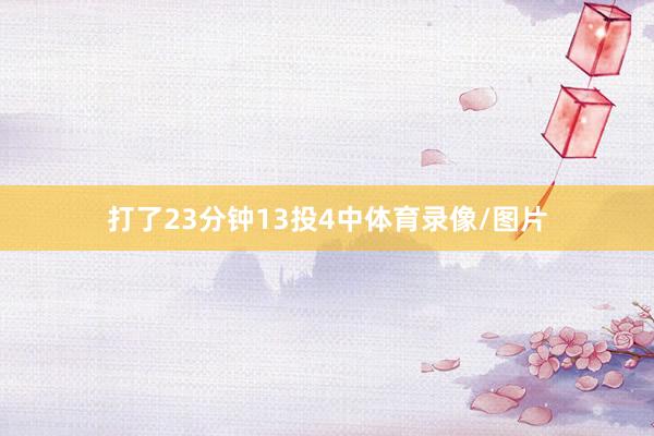 打了23分钟13投4中体育录像/图片