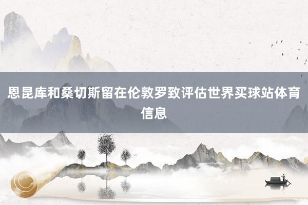 恩昆库和桑切斯留在伦敦罗致评估世界买球站体育信息