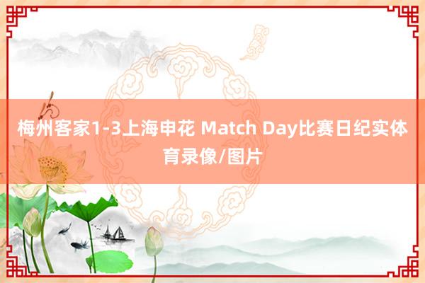 梅州客家1-3上海申花 Match Day比赛日纪实体育录像/图片