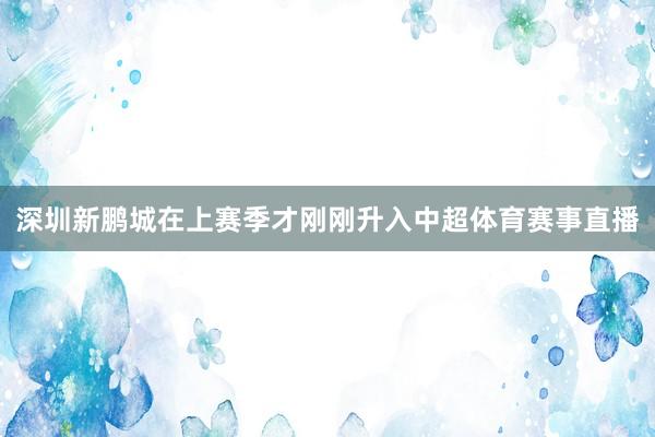 深圳新鹏城在上赛季才刚刚升入中超体育赛事直播
