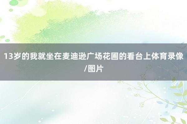 13岁的我就坐在麦迪逊广场花圃的看台上体育录像/图片