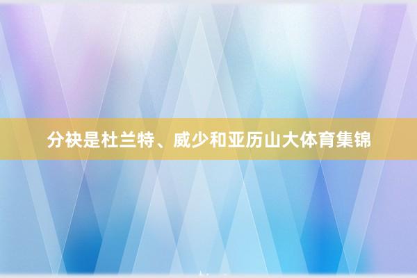 分袂是杜兰特、威少和亚历山大体育集锦