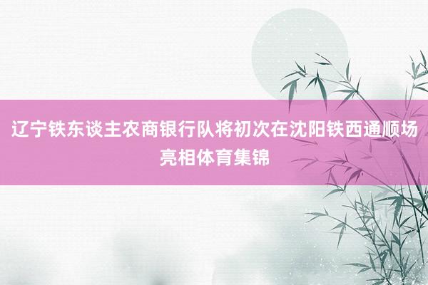 辽宁铁东谈主农商银行队将初次在沈阳铁西通顺场亮相体育集锦