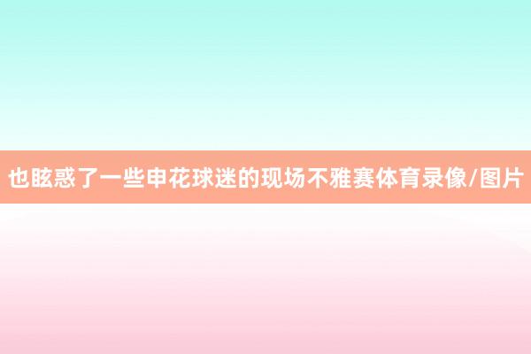 也眩惑了一些申花球迷的现场不雅赛体育录像/图片