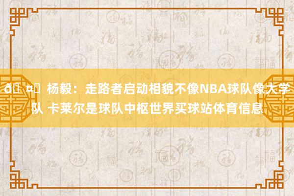 🤔杨毅：走路者启动相貌不像NBA球队像大学队 卡莱尔是球队中枢世界买球站体育信息