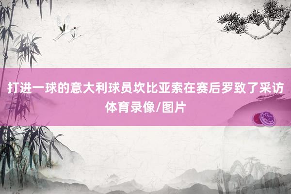 打进一球的意大利球员坎比亚索在赛后罗致了采访体育录像/图片
