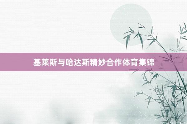 基莱斯与哈达斯精妙合作体育集锦