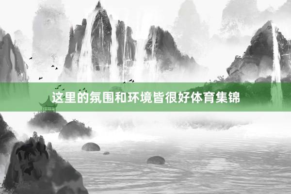 这里的氛围和环境皆很好体育集锦