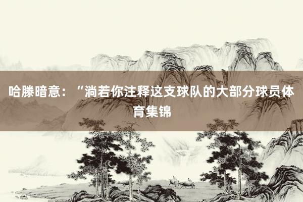 哈滕暗意：“淌若你注释这支球队的大部分球员体育集锦