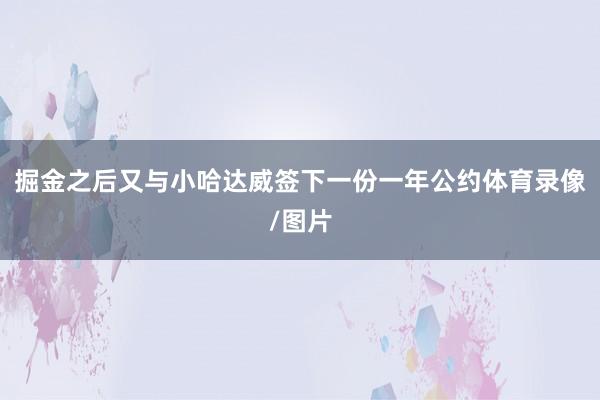 掘金之后又与小哈达威签下一份一年公约体育录像/图片