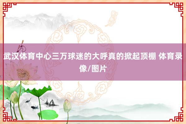 武汉体育中心三万球迷的大呼真的掀起顶棚 体育录像/图片