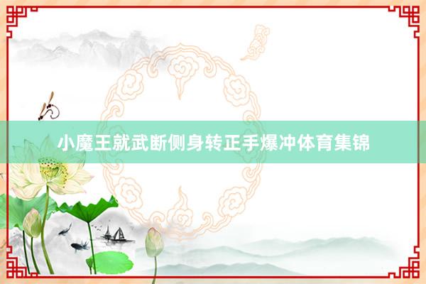 小魔王就武断侧身转正手爆冲体育集锦