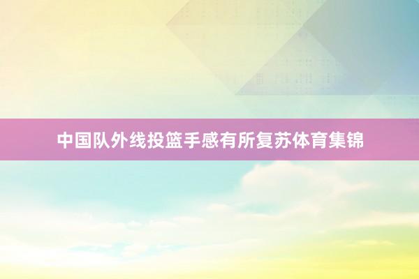 中国队外线投篮手感有所复苏体育集锦