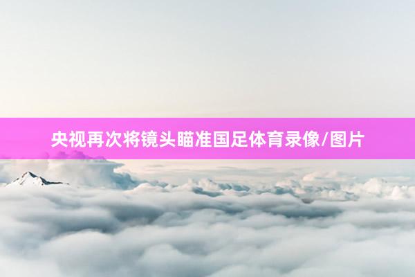 央视再次将镜头瞄准国足体育录像/图片