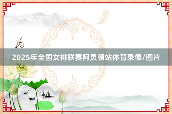 2025年全国女排联赛阿灵顿站体育录像/图片