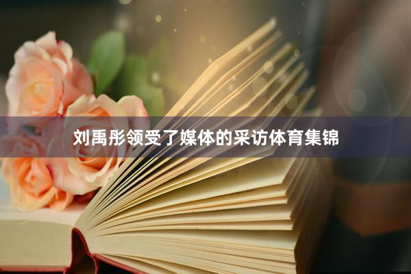 刘禹彤领受了媒体的采访体育集锦