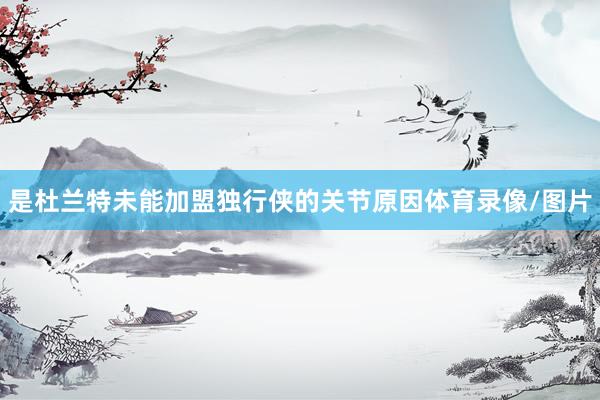是杜兰特未能加盟独行侠的关节原因体育录像/图片