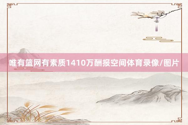 唯有篮网有素质1410万酬报空间体育录像/图片