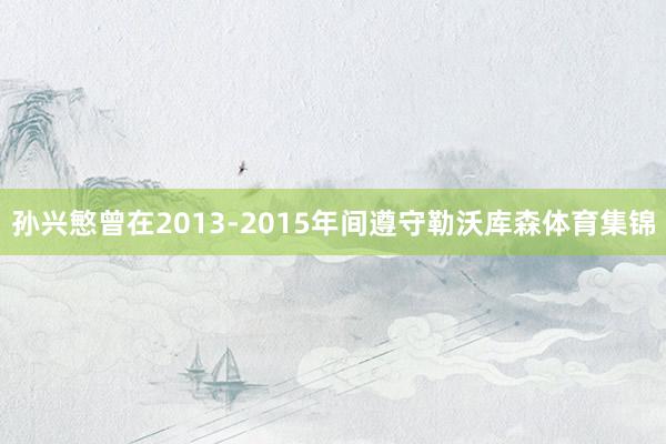 孙兴慜曾在2013-2015年间遵守勒沃库森体育集锦
