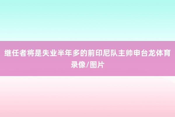 继任者将是失业半年多的前印尼队主帅申台龙体育录像/图片
