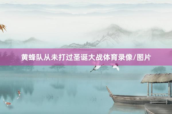 黄蜂队从未打过圣诞大战体育录像/图片