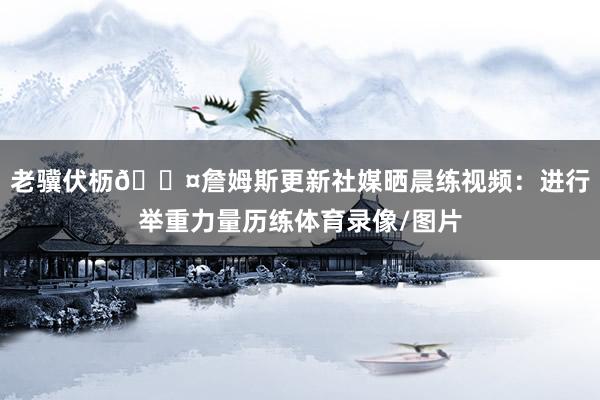 老骥伏枥😤詹姆斯更新社媒晒晨练视频：进行举重力量历练体育录像/图片