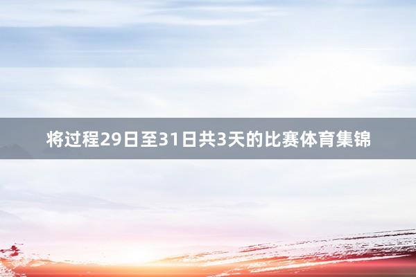 将过程29日至31日共3天的比赛体育集锦