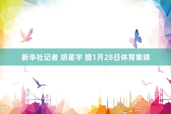新华社记者 胡星宇 摄1月28日体育集锦