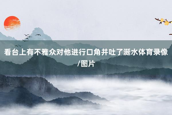 看台上有不雅众对他进行口角并吐了涎水体育录像/图片
