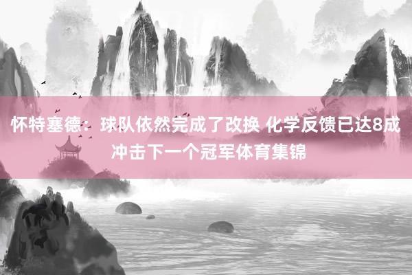怀特塞德：球队依然完成了改换 化学反馈已达8成 冲击下一个冠军体育集锦