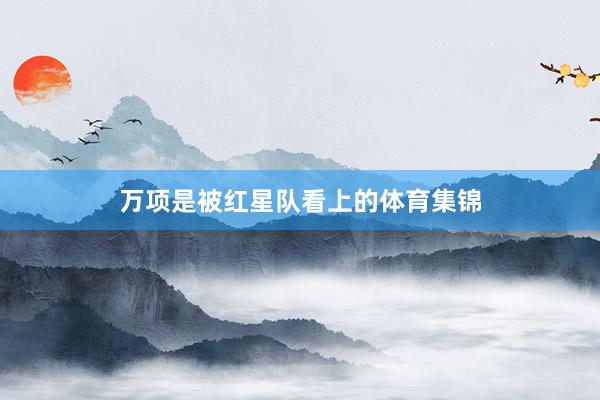 万项是被红星队看上的体育集锦