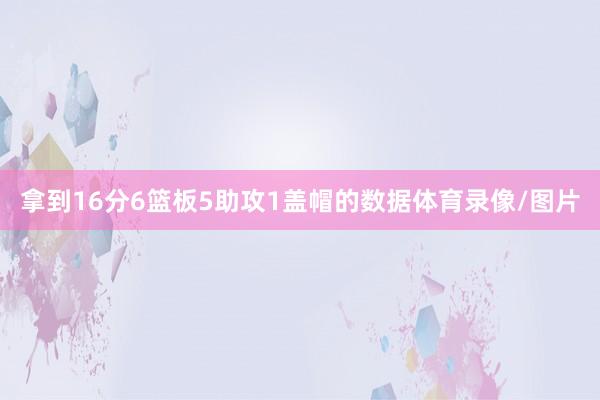 拿到16分6篮板5助攻1盖帽的数据体育录像/图片