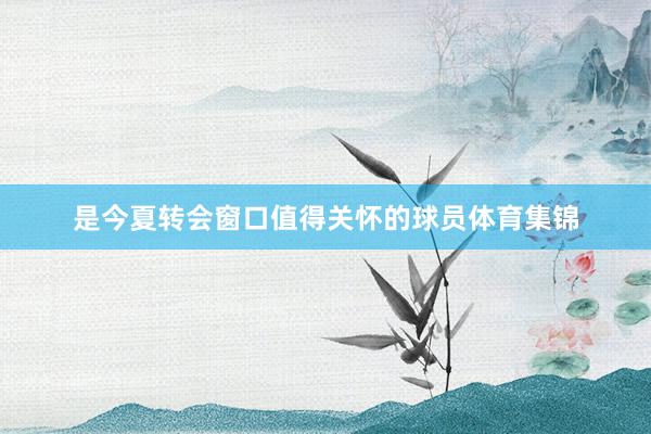 是今夏转会窗口值得关怀的球员体育集锦