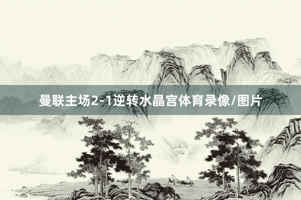 曼联主场2-1逆转水晶宫体育录像/图片
