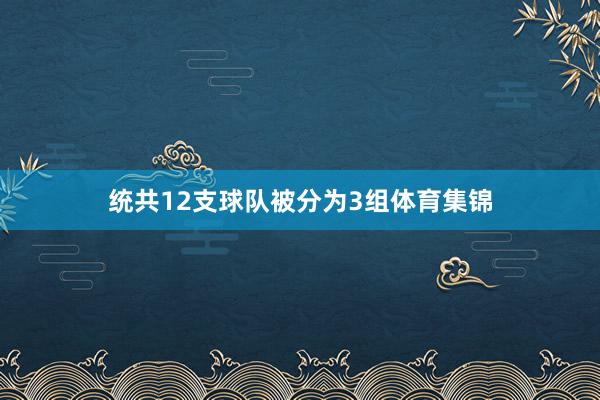 统共12支球队被分为3组体育集锦