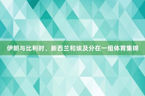 伊朗与比利时、新西兰和埃及分在一组体育集锦