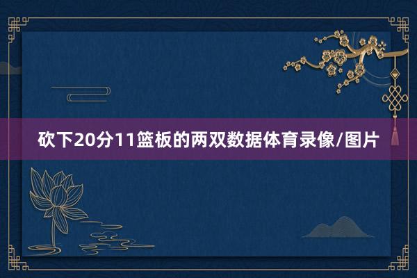 砍下20分11篮板的两双数据体育录像/图片
