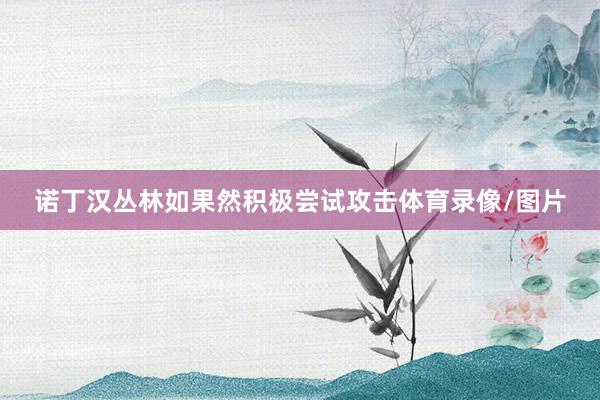 诺丁汉丛林如果然积极尝试攻击体育录像/图片